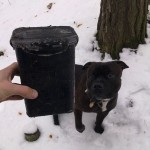 Finálka wherigo cache