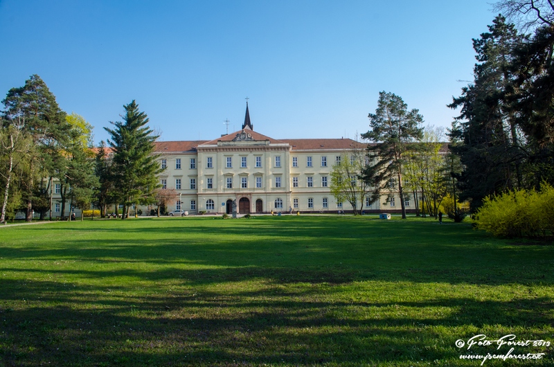 Areál Černovická psychiatrická léčebna Brno