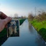 Travel bug u Svratky, geocaching