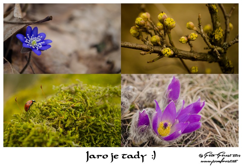 Jaro je tady