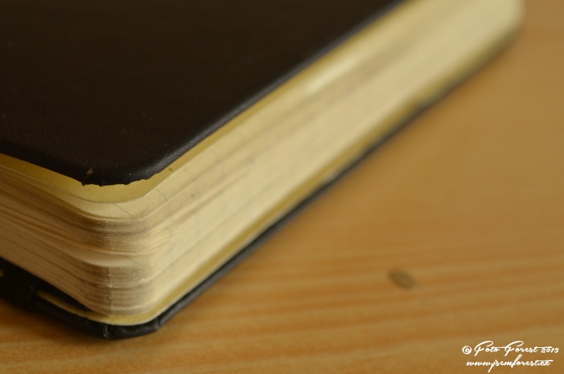 Moleskine deník