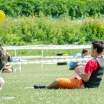 Brněnské psí dny 2013