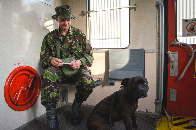 Taťka a Staffy ve vlaku