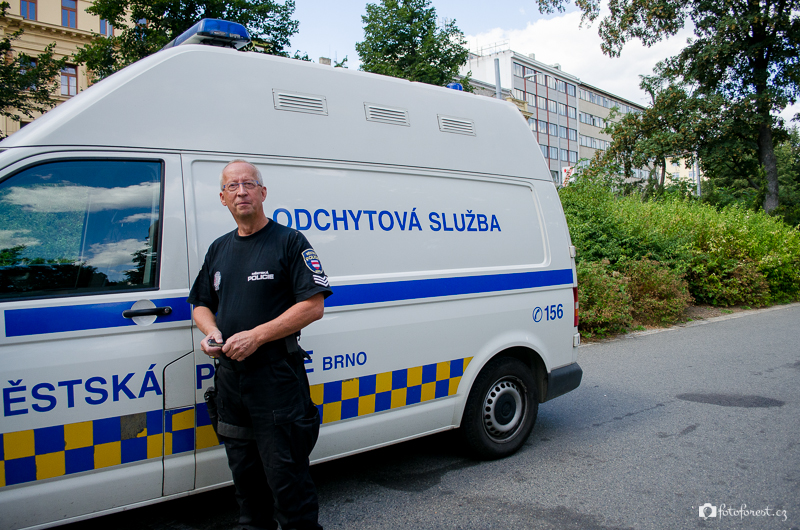 Odchytová služba