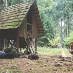 Forest u krmelce