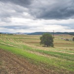 Okolí Hvozdce za Brnem