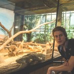 Forest v ZOO
