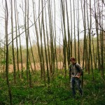 Jsem Forest