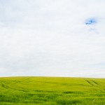 Horizont