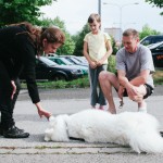 Samojed Márynka s dětmi