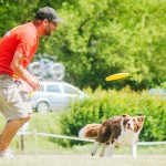 Brněnské psí dny 2014 - agility, dog frisbee a dogdancing