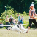 Brněnské psí dny 2014 - agility, dog frisbee a dogdancing