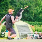 Brněnské psí dny 2014 - agility, dog frisbee a dogdancing