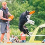 Brněnské psí dny 2014 - agility, dog frisbee a dogdancing