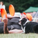 Brněnské psí dny 2014 - agility, dog frisbee a dogdancing