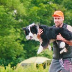 Brněnské psí dny 2014 - agility, dog frisbee a dogdancing
