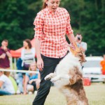 Brněnské psí dny 2014 - agility, dog frisbee a dogdancing