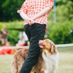 Brněnské psí dny 2014 - agility, dog frisbee a dogdancing