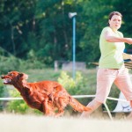 Brněnské psí dny 2014 - agility, dog frisbee a dogdancing