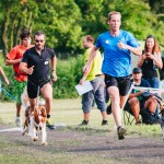 Brněnské psí dny 2014 - canicross