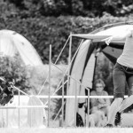 Psí agility