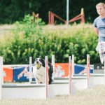 Flyball psí sport