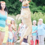 Ukázka bull sportů na brněnských psích dnech