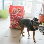 Bimbo dostal granule