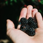 Tayberry