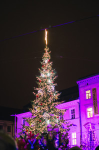 Rozsvěcení vánočního stromečku na náměstí Svobody Brno