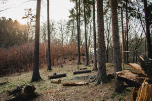 Tábořiště pod srubem na Oslavce
