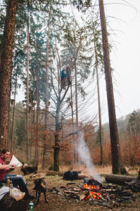 Forest s Romanem na stromě