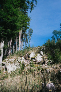 Krásná příroda v okolí Blanska