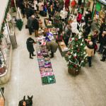 Blešák v Alfa pasáži Brno