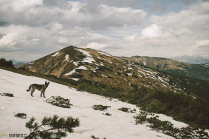 Nízké Tatry, Prašivá