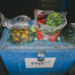 Dumpster diving Brno