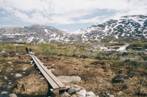 Příroda v Norsku