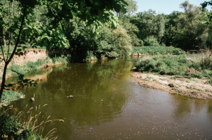 Řeka Jihlava