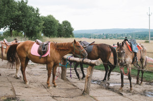 Ranch U Rezavé studánky