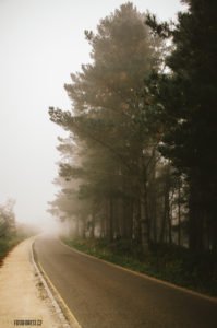 Svatojakubská cesta, pouť Camino de Santiago