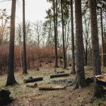 Tábořiště pod srubem na Oslavce