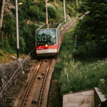Fløyen zubačka