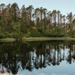 Floyen Bergen