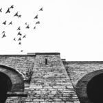 Mosty Hranice na Moravě - viadukt