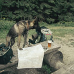 Radegast