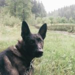 Přechod Beskyd