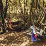 Camino de Santiago de Compostela